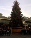 Pictures: Christmas in London 2011