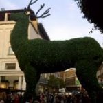 Covent Garden6