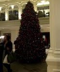 Pictures: Christmas in London 2011
