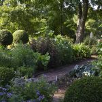 Introducing the Chelsea Physic Garden &#8211; An Island of Serenity in London