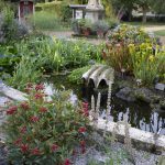 Introducing the Chelsea Physic Garden &#8211; An Island of Serenity in London