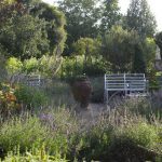 Introducing the Chelsea Physic Garden &#8211; An Island of Serenity in London