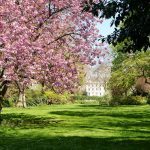 Gardens 1