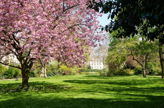 Gardens 1