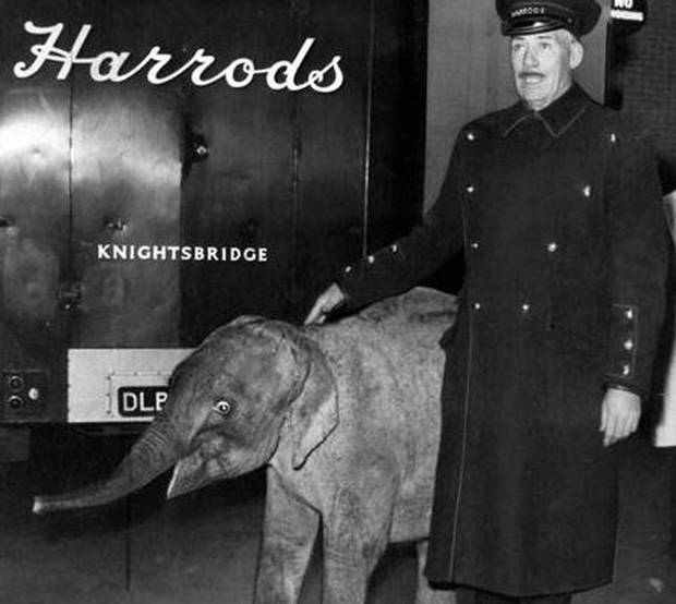 London Icons Interesting Facts About Harrods That You Probably Didn