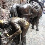 Camden Horses