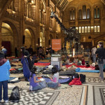 dino-snores-central-hall