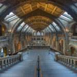 Natural_History_Museum_Main_Hall,_London,_UK_-_Diliff