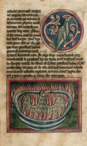 A phoenix rising from the ashes in a 13th-century bestiary (c) British Library