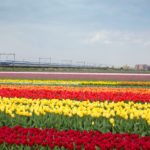 Amsterdam hi-res