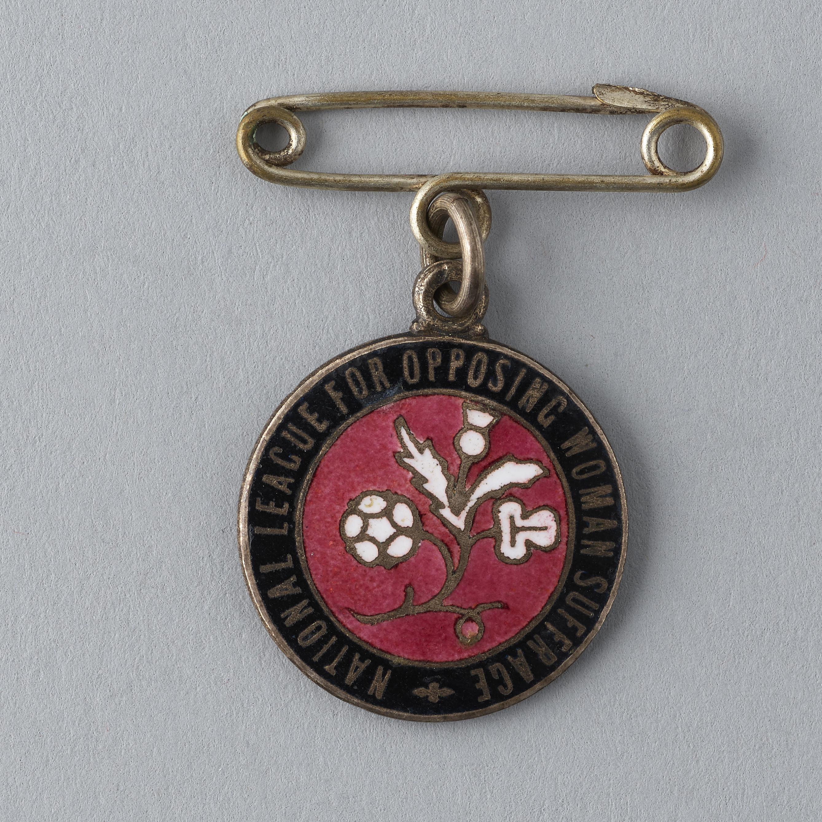 National League for Opposing Woman Suffrage badge