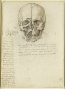 Leonardo da Vinci, The skull sectioned, 1489