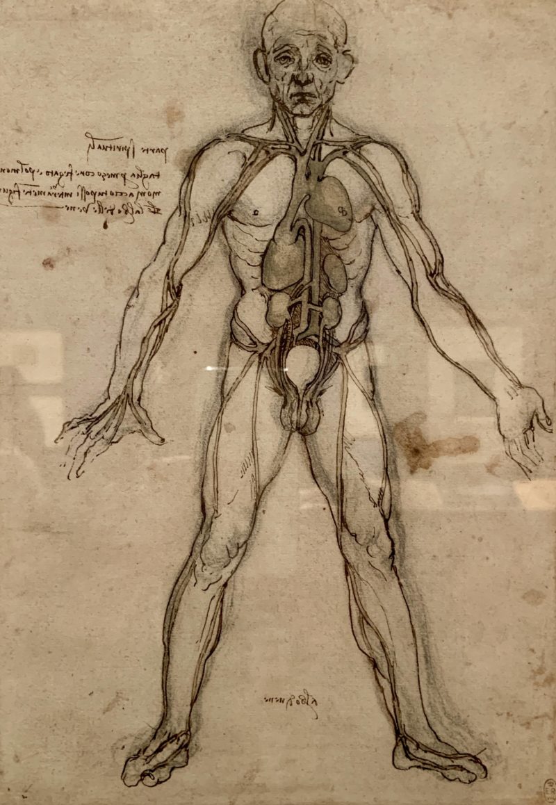 London Exhibition Report: Leonardo da Vinci: A Life in Drawing