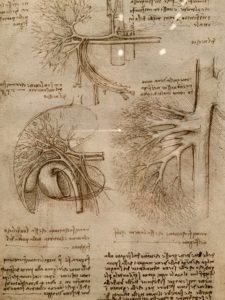 The vessels of the liver c. 1508