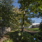River Wandle near Merton Abbey