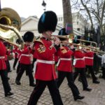 irish plume