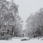 snow-672269