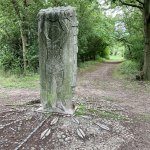 IMG_3148