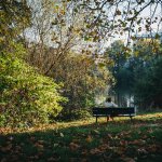 Person sitting on a bench, relaxing by the pond in Hampstead Hea