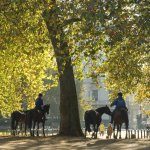 3_Horse ride amongst Autumn leaves