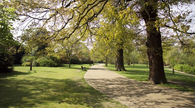 Spring in Greenwich Park