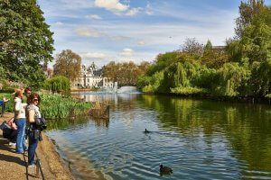 St. James's Park Lake.