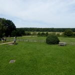 View_of_Epping_Forest_from_Queen_Elisabeth’s_Hunting_Lodge