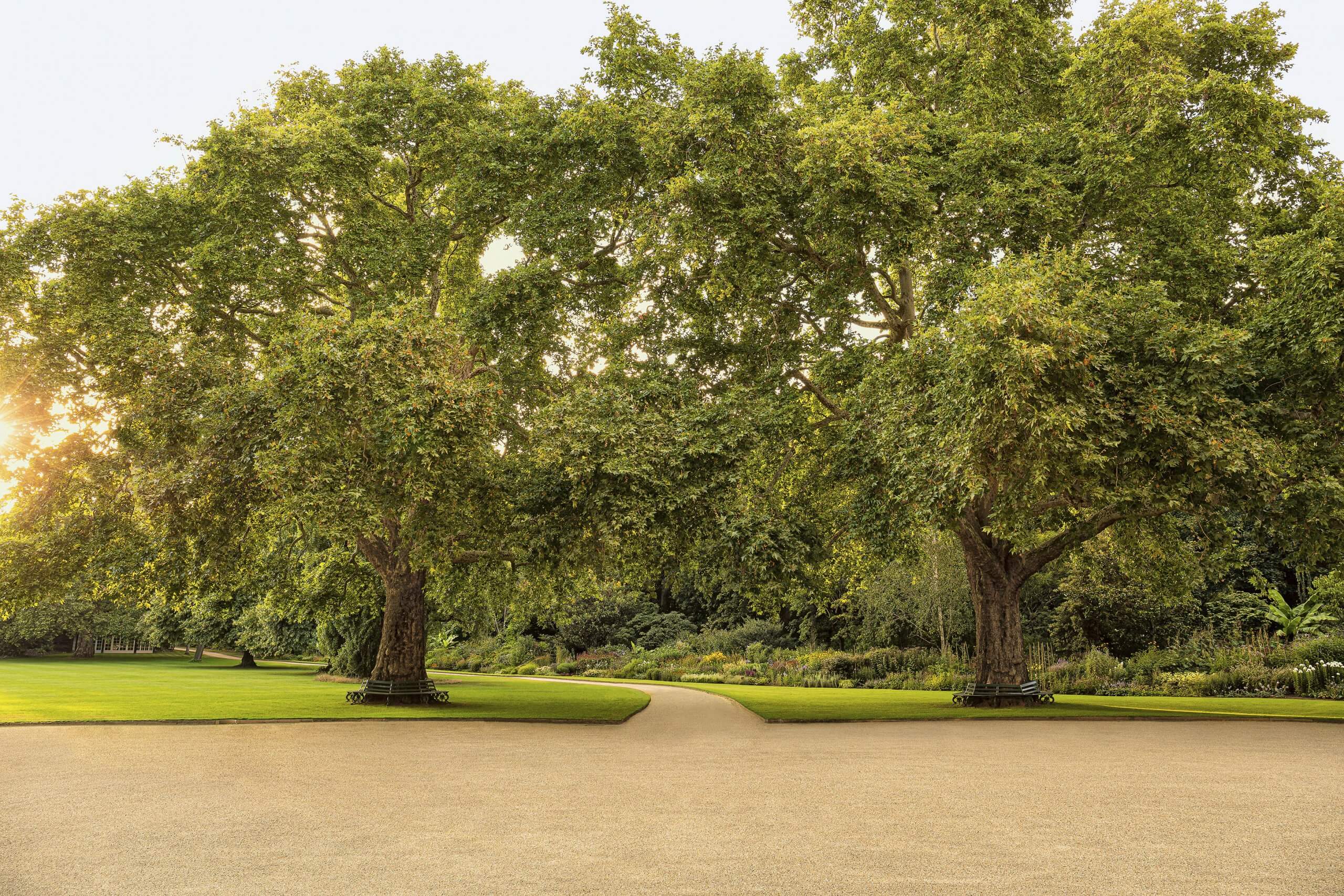 Picnic in the Queen&#8217;s Private Garden &#8211; Laura Porter Visits Buckingham Palace&#8217;s Garden