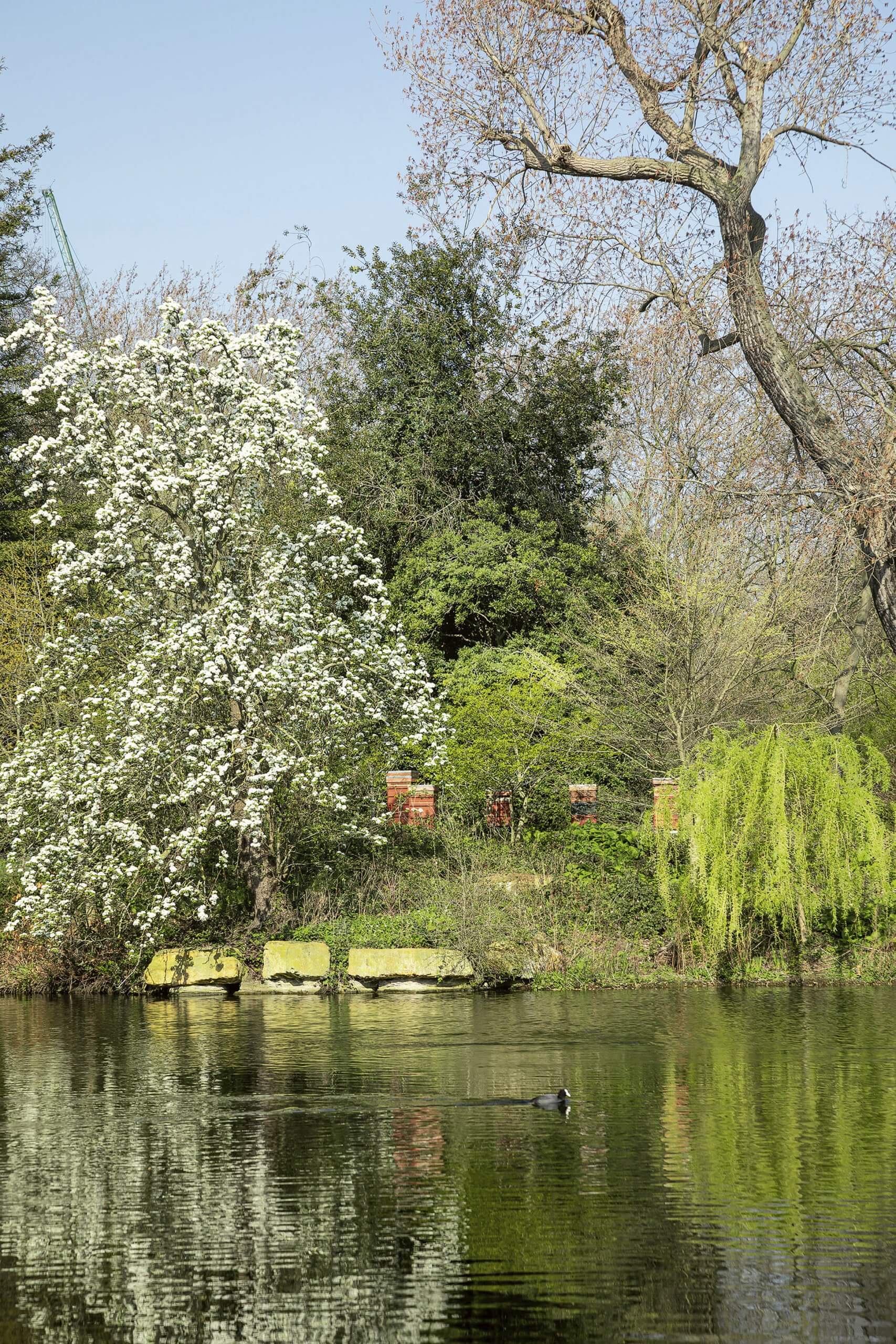 Picnic in the Queen&#8217;s Private Garden &#8211; Laura Porter Visits Buckingham Palace&#8217;s Garden