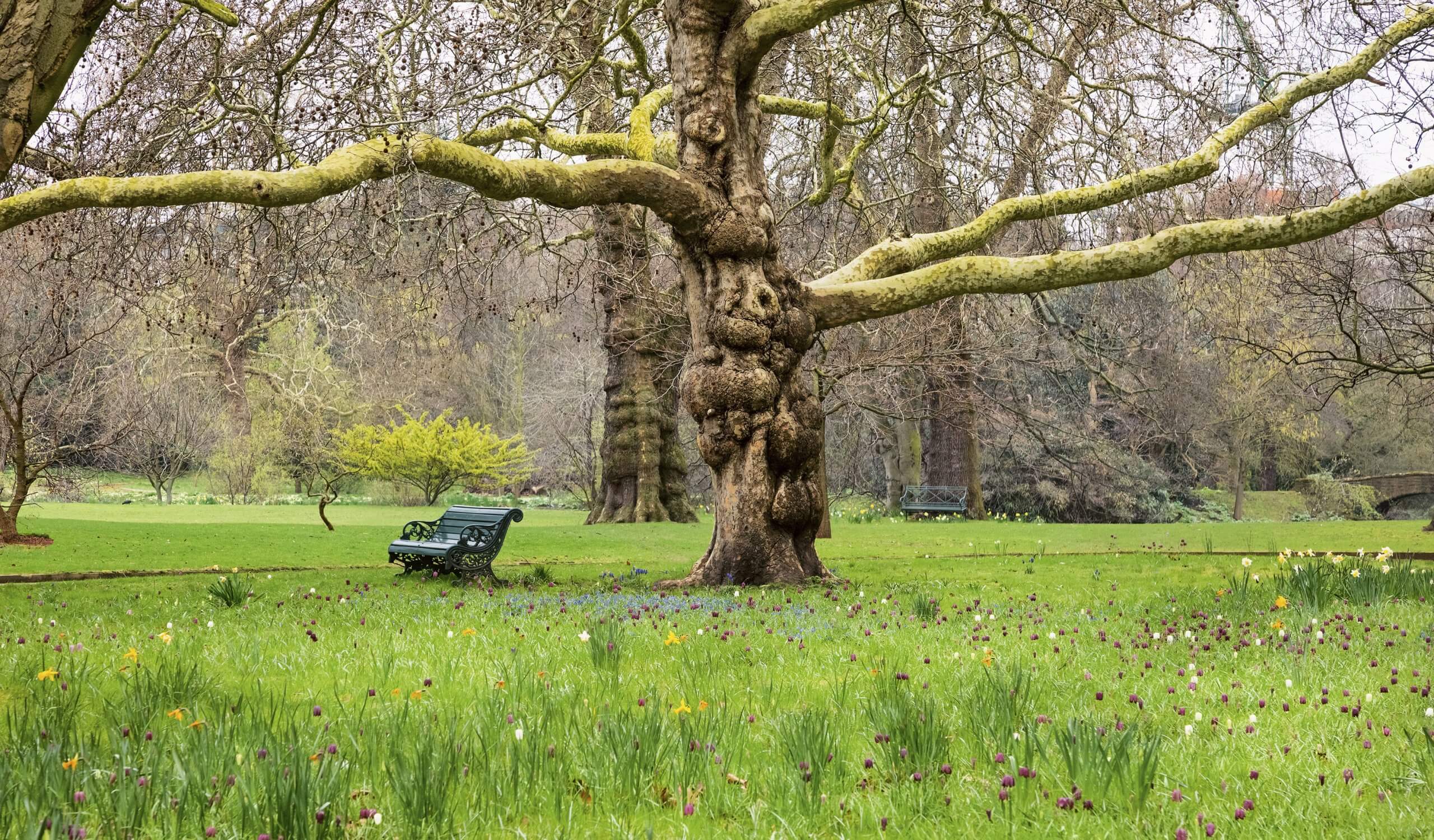 Picnic in the Queen&#8217;s Private Garden &#8211; Laura Porter Visits Buckingham Palace&#8217;s Garden