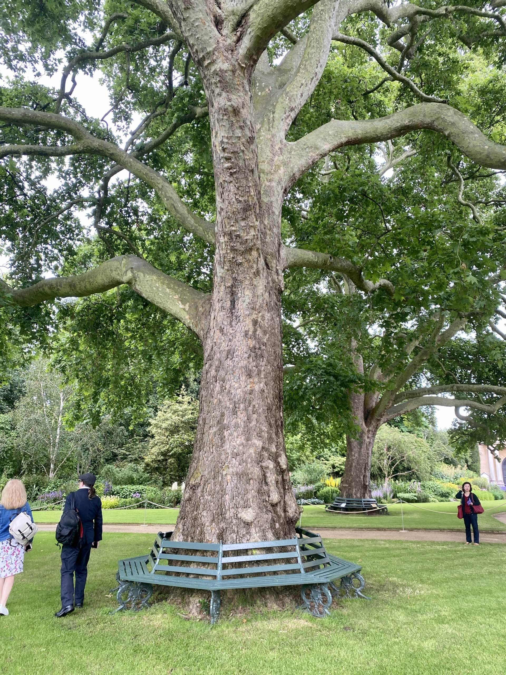 Picnic in the Queen&#8217;s Private Garden &#8211; Laura Porter Visits Buckingham Palace&#8217;s Garden