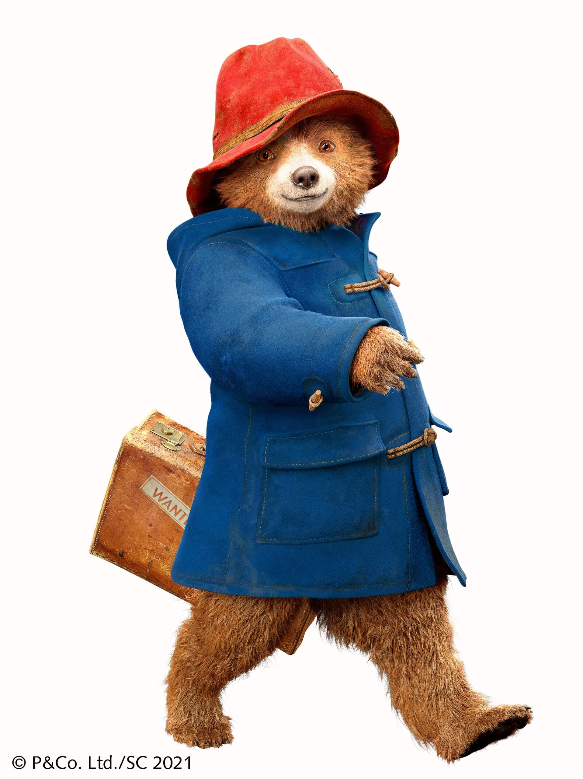 paddington bear art