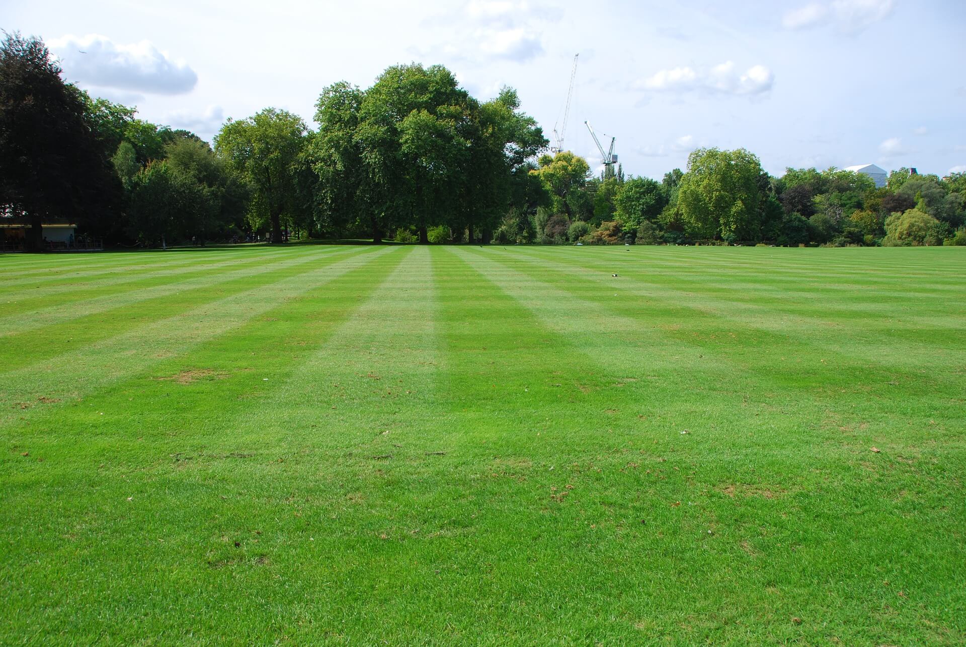 Picnic in the Queen&#8217;s Private Garden &#8211; Laura Porter Visits Buckingham Palace&#8217;s Garden