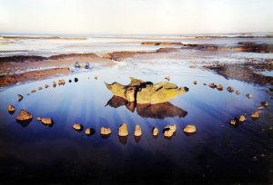 Seahenge at the time of excavation. © Wendy George.