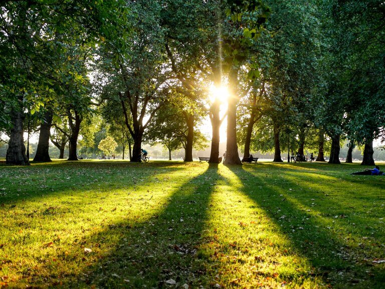 Green Spaces: Top Relaxing Parks Near London’s Major Campuses