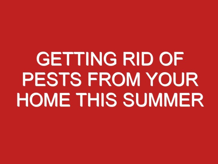 Getting rid of pests from your home this Summer