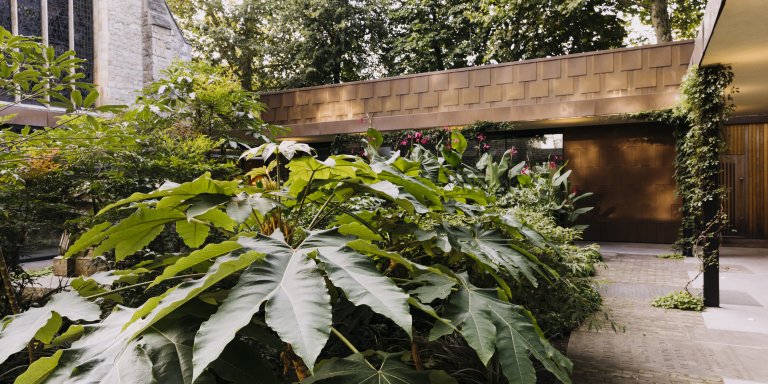 Courtyard 3 Eva Nemeth 2500x1250 1 768x384